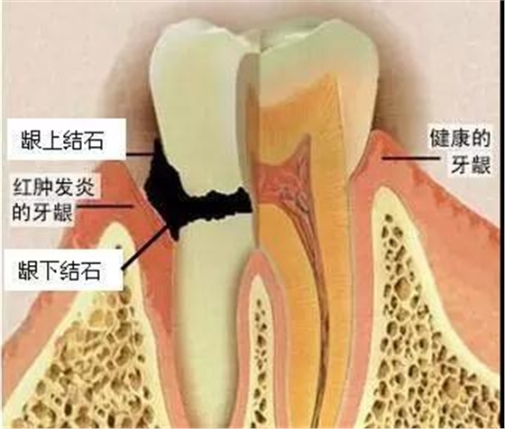 微信图片_20180129140750.jpg