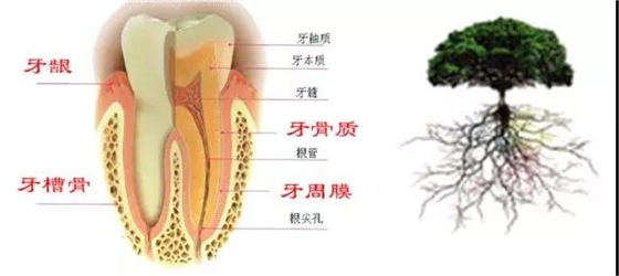 微信图片_20190916152225.jpg